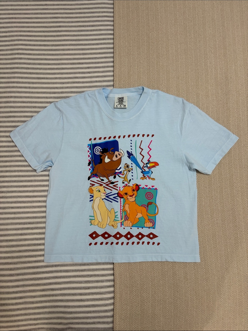 NWOT Comfort Colors Disney T-Shirt Lion King Graphic Tee Short Sleeve Top Small